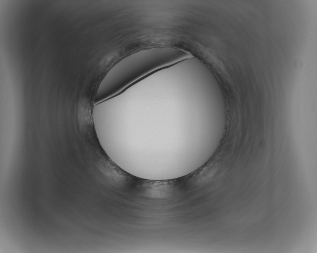 X0000110910384200906181011