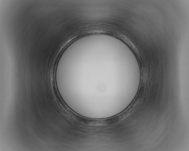 X0000110910386200906181010