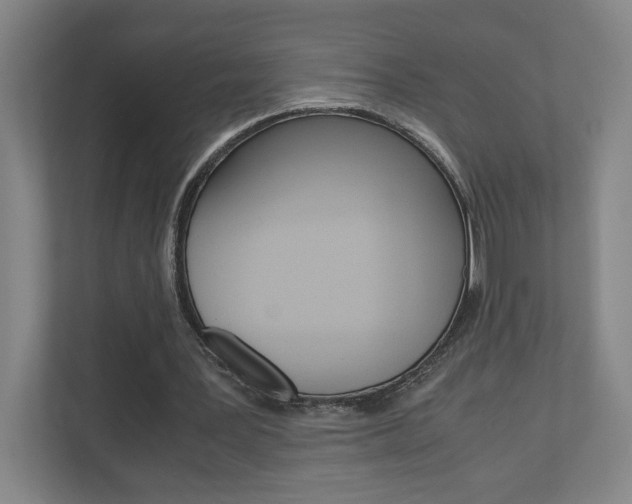 X0000110910387200906181010