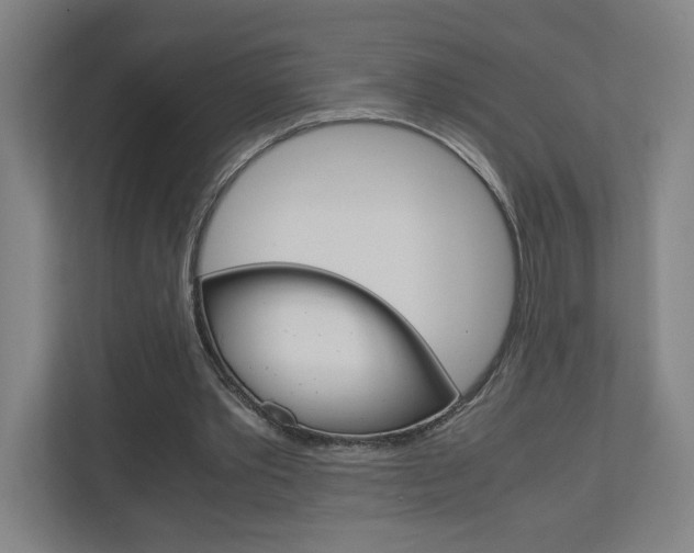 X0000110910389200906181010