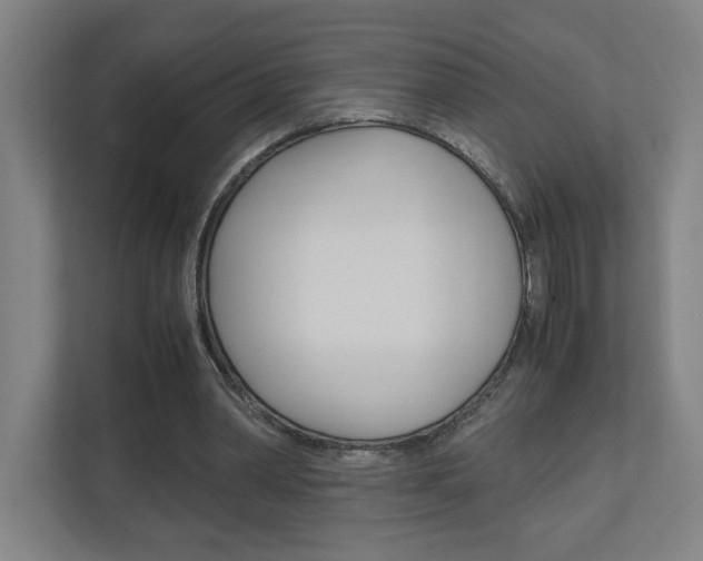 X0000110910390200906181010