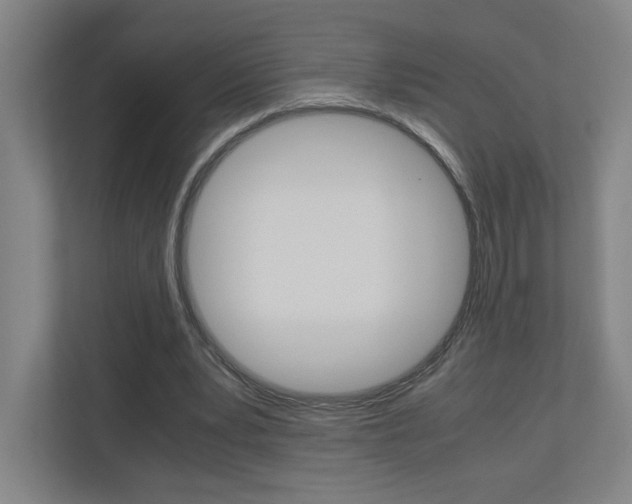 X0000110910391200906181010