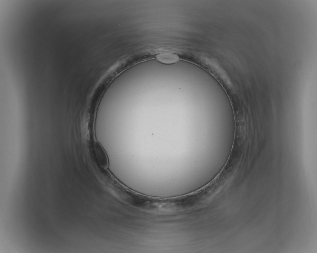 X0000110910395200906181010