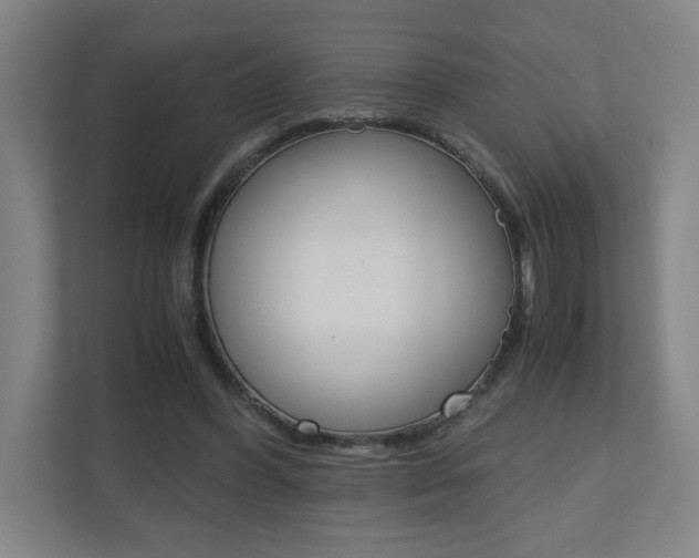 X0000110910396200906181010