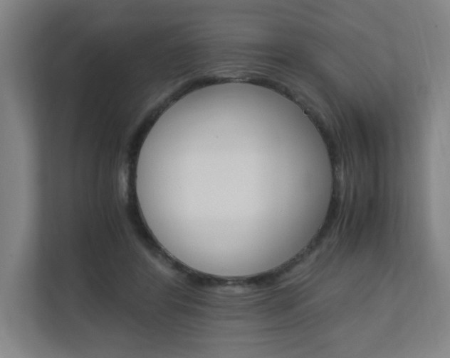 X0000110910404200906181010