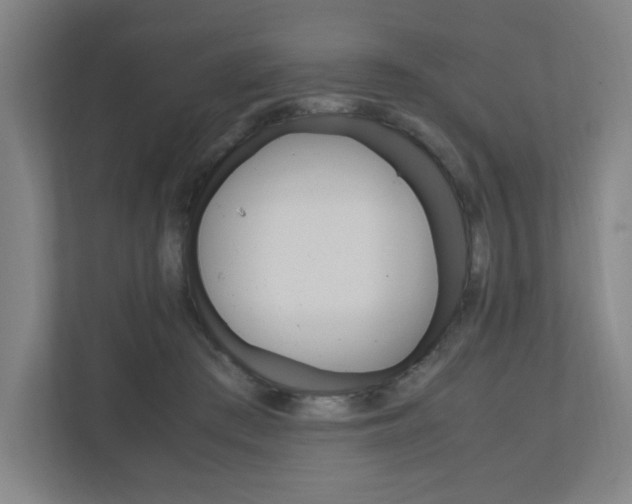 X0000110910409200906181010