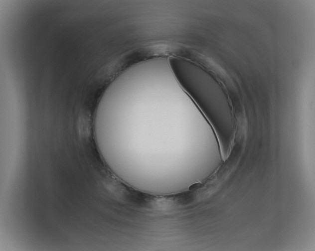 X0000110910413200906181010