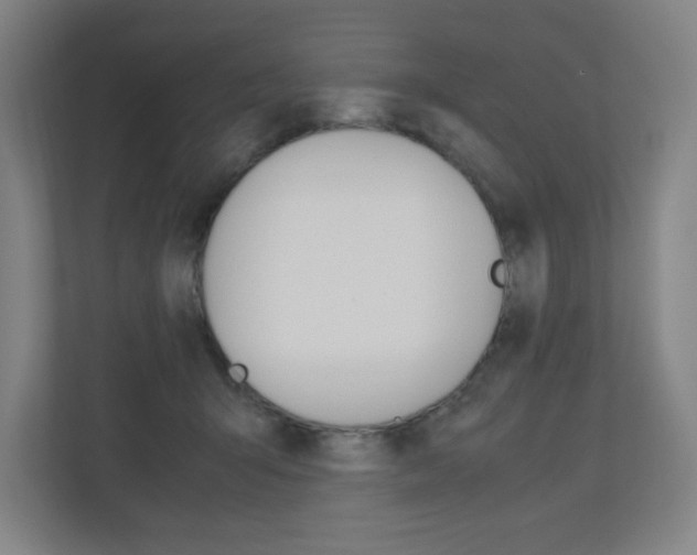 X0000110910415200906181010