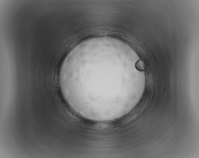 X0000110910418200906181010