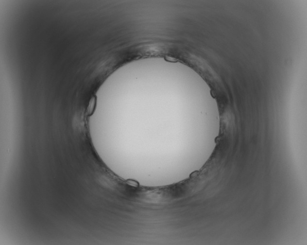 X0000110910423200906181010