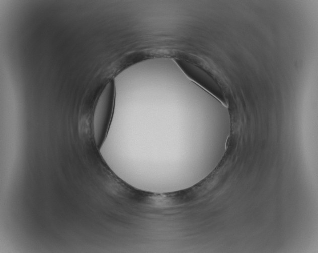 X0000110910425200906181010