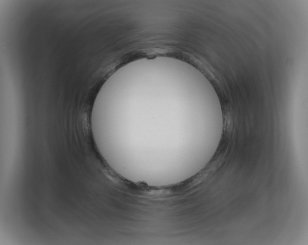 X0000110910426200906181010