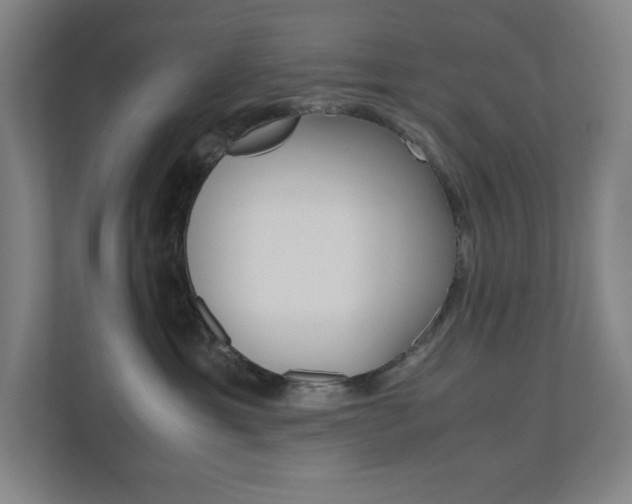 X0000110910429200906181010