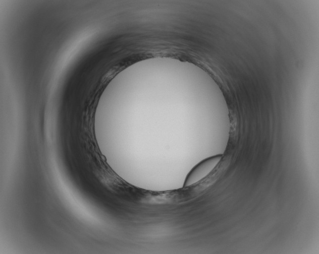 X0000110910430200906181010