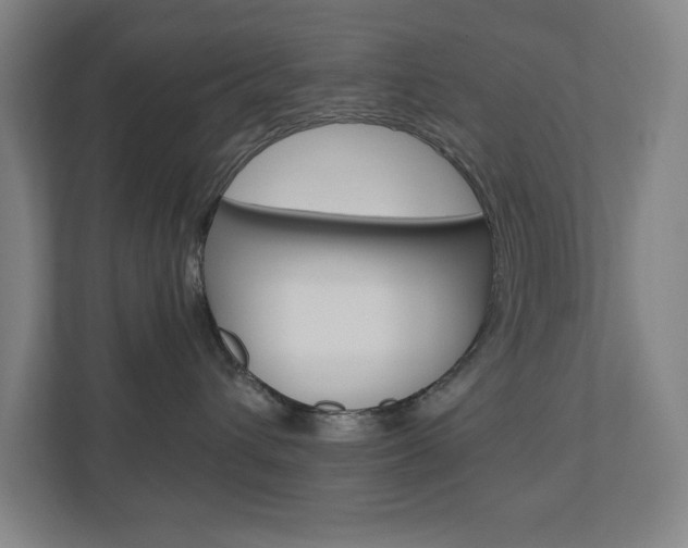 X0000110910432200906181010