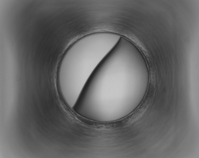 X0000110910434200906181009