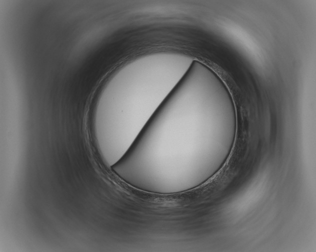 X0000110910435200906181009