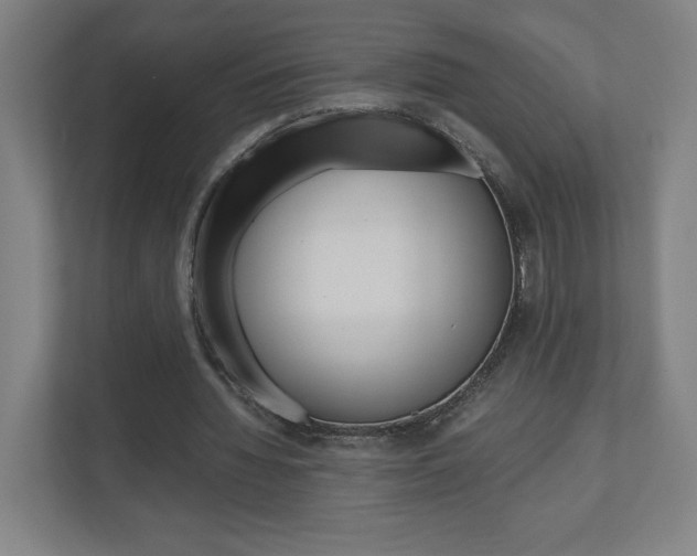 X0000110910436200906181009