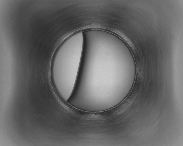 X0000110910437200906181009
