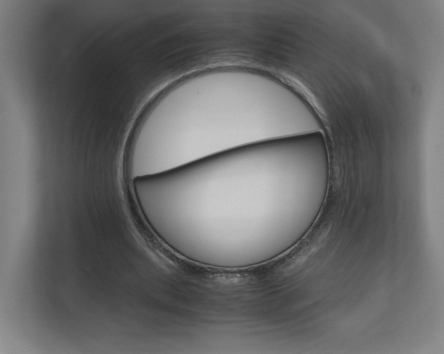 X0000110910439200906181009