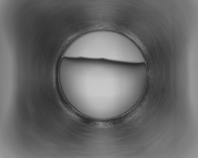 X0000110910442200906181009