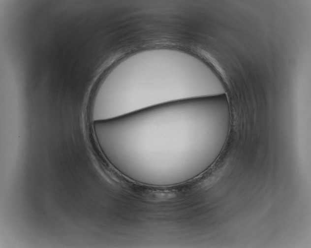 X0000110910443200906181009