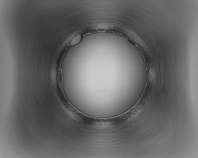 X0000110910444200906181009