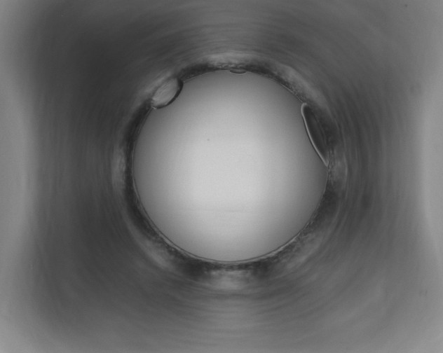 X0000110910448200906181009