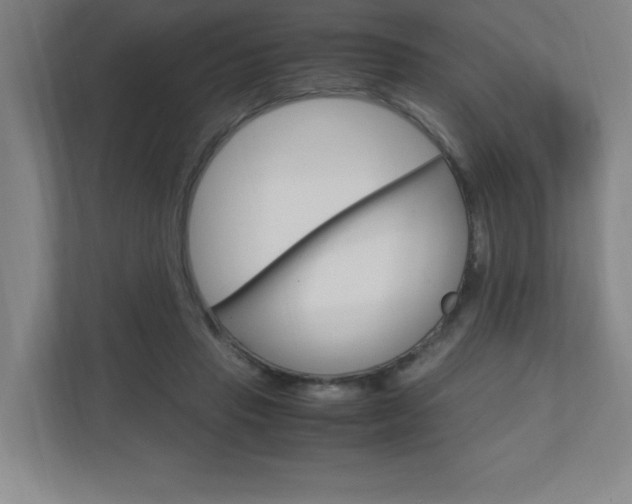X0000110910453200906181009