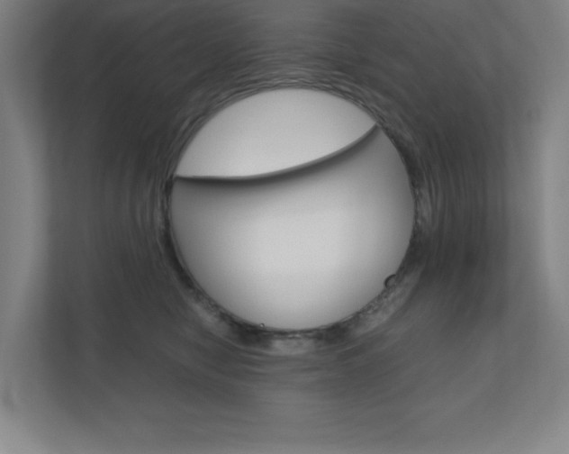 X0000110910470200906181009
