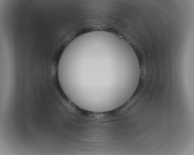X0000110910472200906181009