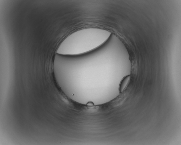 X0000110910474200906181010