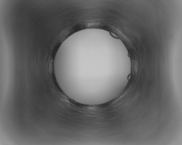 X0000110910475200906181010