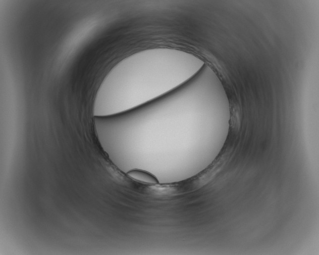 X0000110910477200906181010