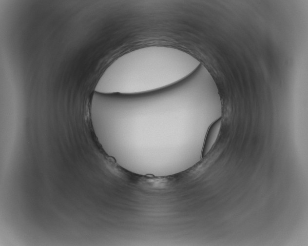 X0000110910478200906181010