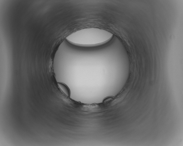 X0000110910480200906181010