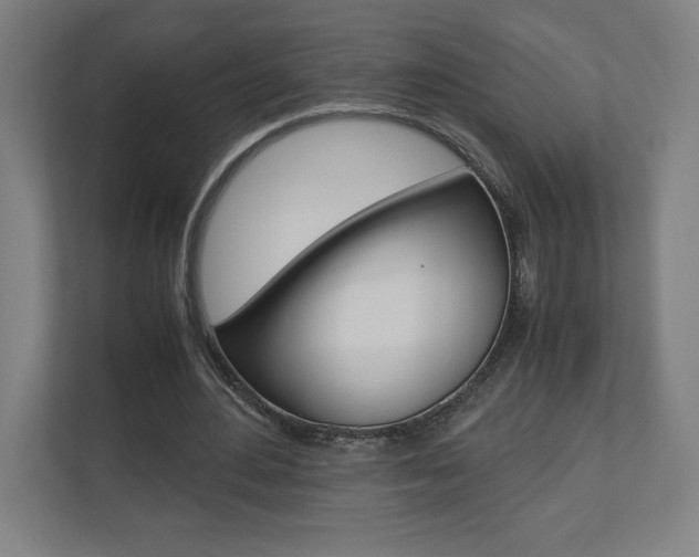 X0000110910484200906181009