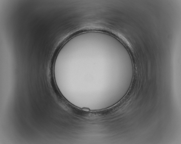 X0000110910487200906181009
