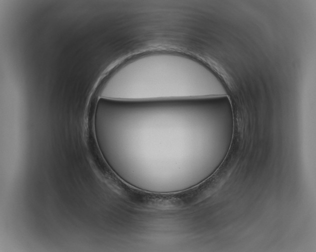 X0000110910488200906181009