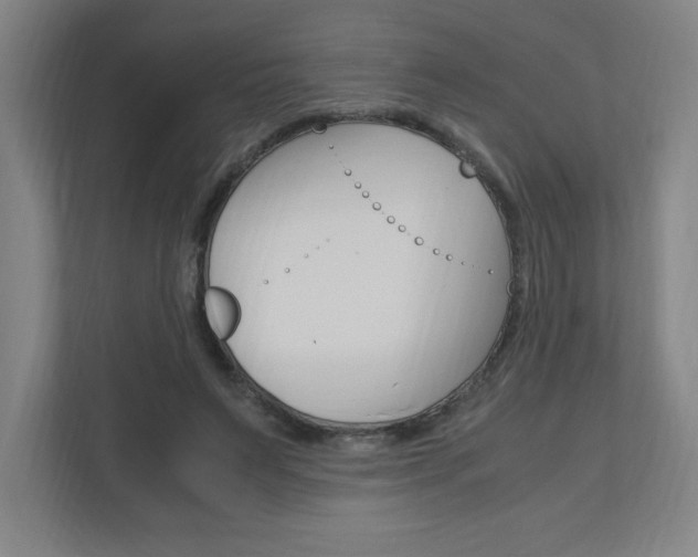 X0000110910495200906181009