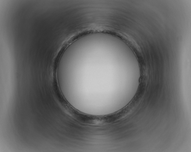 X0000110910496200906181009