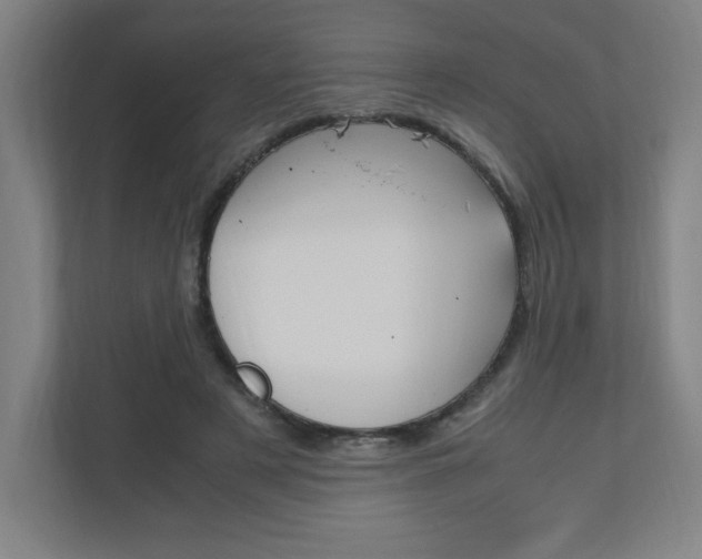 X0000110910497200906181009