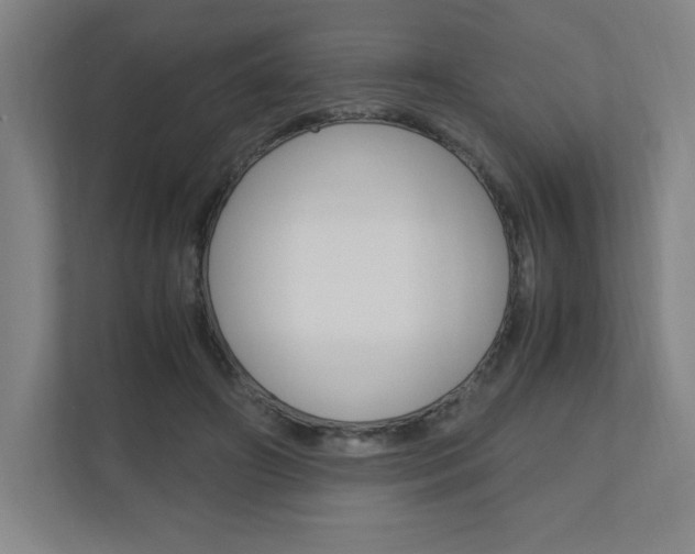 X0000110910498200906181009