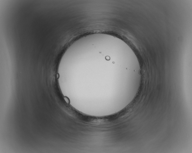 X0000110910499200906181009
