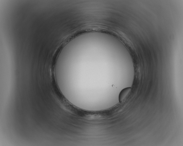 X0000110910500200906181009