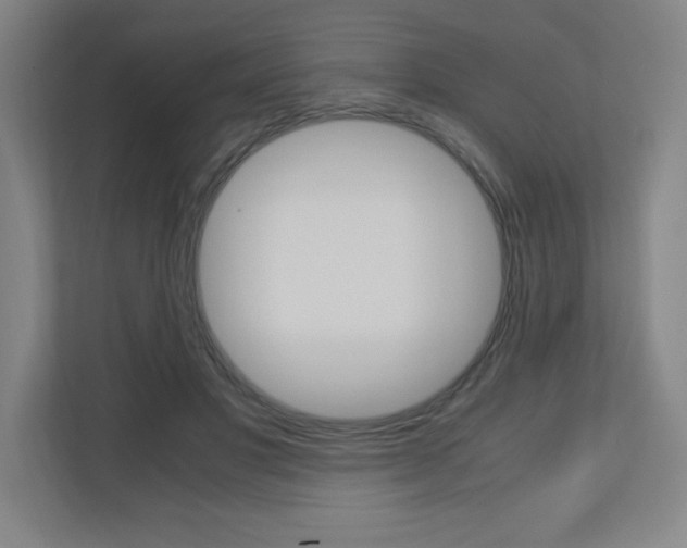 X0000110910501200906181009