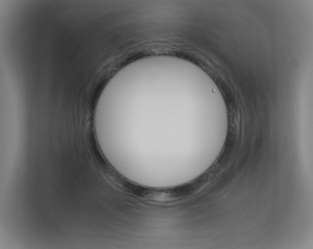 X0000110910507200906181009