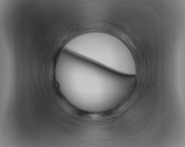 X0000110910509200906181009