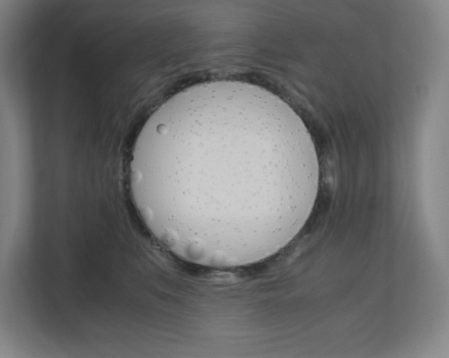 X0000110910519200906181008