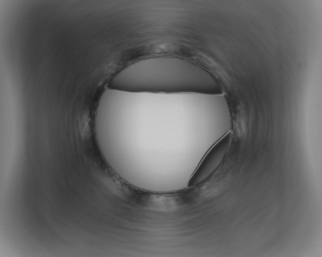 X0000110910520200906181008